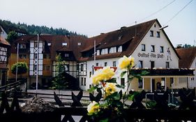 Gasthof Alte Post Obertrubach